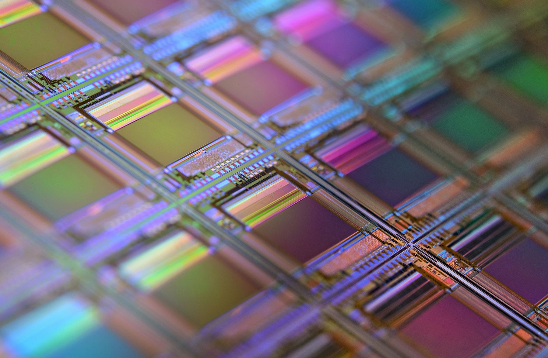 Silicon wafer with a grid of chip dies